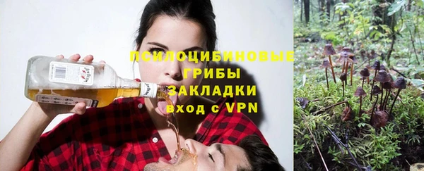 метадон Алексеевка