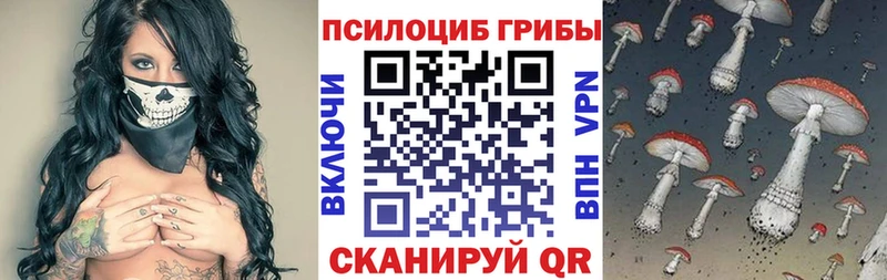 Псилоцибиновые грибы GOLDEN TEACHER  blacksprut зеркало  Цивильск 